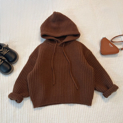 Pull à Capuche